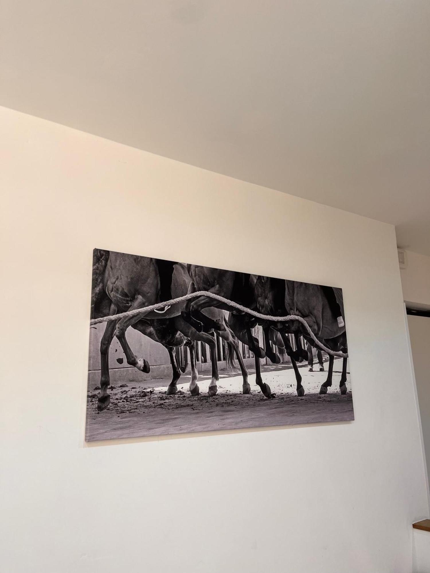 La Casa Del Palio Apartman Siena Kültér fotó